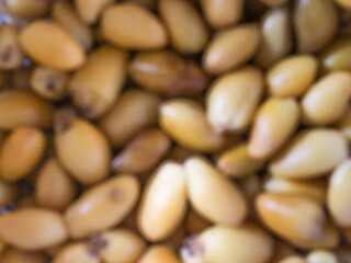 Blur photo young dates from Egypt