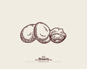 Three chicken eggs. One broken egg, yolk visible. Vintage vector line art illustration.