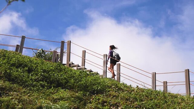 Hallasan National Park, Jeju island, South Korea, vibrant view of trail with a wooden ladder path stairs, trekking and climbing, stairway to Halla mountain summit, hiking in Korea, Jeju-do, sunny day