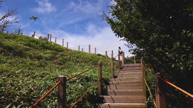 Hallasan National Park, Jeju island, South Korea, vibrant view of trail with a wooden ladder path stairs, trekking and climbing, stairway to Halla mountain summit, hiking in Korea, Jeju-do, sunny day