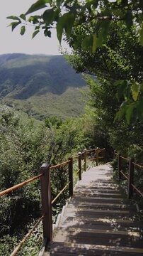 Hallasan National Park, Jeju island, South Korea, vibrant view of trail with a wooden ladder path stairs, trekking and climbing, stairway to Halla mountain summit, hiking in Korea, Jeju-do, sunny day