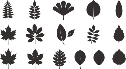 Leaf silhouette collection, botanical shapes, black vector leaves, nature icons, foliage design, plant elements, flat vector illustration, isolated leaf set