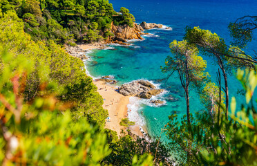 Fototapety na wymiar - Fototapeta24.pl