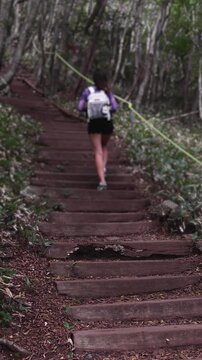 Hallasan National Park, Jeju island, South Korea, vibrant view of trail with a wooden ladder path stairs, trekking and climbing, stairway to Halla mountain summit, hiking in Korea, Jeju-do, sunny day