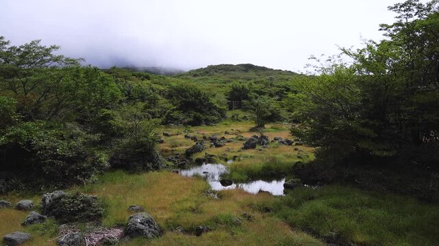 Hallasan National Park, Jeju island, South Korea, vibrant view of trail with a wooden ladder path stairs, trekking and climbing, stairway to Halla mountain summit, hiking in Korea, Jeju-do, sunny day