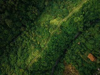 Aerial view of artist trail in Ubud, Bali