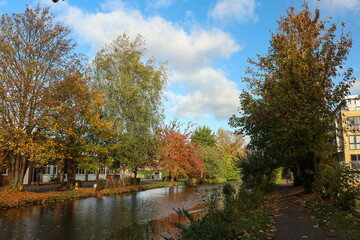 Watching on from the banks of the river Lea while it supports ducks, geese, swans, numerous plants as well as a boating lifestyle, while it flows through hertford just north of London