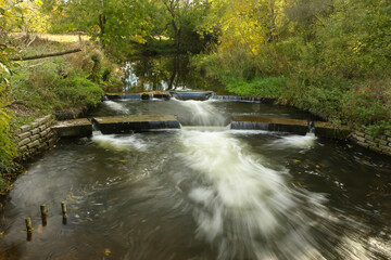 Watching on from the banks of the river Lea while it supports ducks, geese, swans, numerous plants as well as a boating lifestyle, while it flows through hertford just north of London 