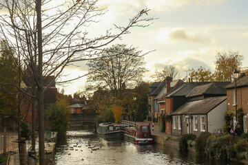Watching on from the banks of the river Lea while it supports ducks, geese, swans, numerous plants as well as a boating lifestyle, while it flows through hertford just north of London 