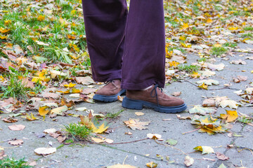 Brown leather shoes on person standing among scattered autumn leaves on Warsaw sidewalk pavement surface. High quality photograph.