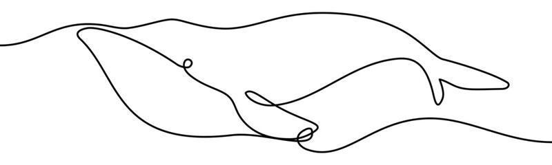 Whale in Water sign, minimalist ecological and environmental concept symbol, continuous line design, isolated on transparent background, vector illustration