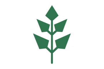 Stylized green plant leaves growing on transparent background, symbolizing nature, ecology, and organic growth