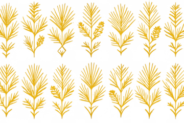 Golden wheat crop plants seamless pattern. Grain field food farming and harvest concept with transparent background