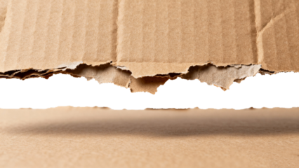 Torn cardboard texture close-up, isolated on transparent background, showing layered corrugated paper edges and rough edges