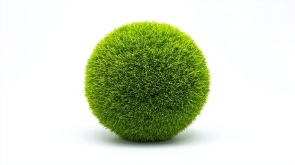 A bright green sphere of grass stands out against a white background.

Green grass ball, isolated on white.

Lush, verdant grass formed into a ball shape, solo on white.
 