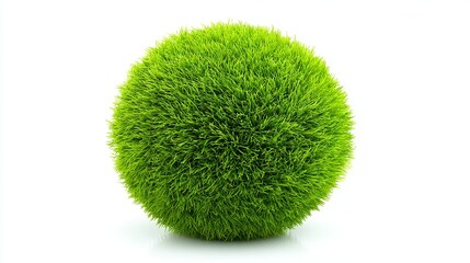A bright green sphere of grass stands out against a white background.

Green grass ball, isolated on white.

Lush, verdant grass formed into a ball shape, solo on white.
 