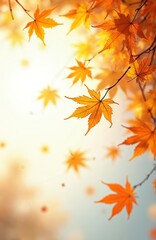 Photo features beautiful autumn maple leaves in warm colors. Golden leaves are on branches with blurred background. Sunlight illuminates foliage creating a cozy mood.