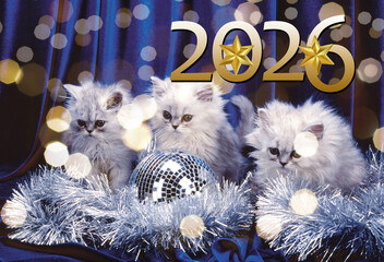 2026 Merry Christmas and Happy New Year