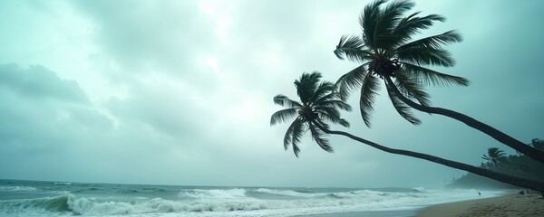 Obraz premium Palm trees bend under strong winds near a stormy ocean. Rough waves crash on beach sand during a severe weather event. Gloomy sky over tropical coast.
