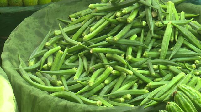 Fresh ladies finger or okra beautifully displayed for sale in local market