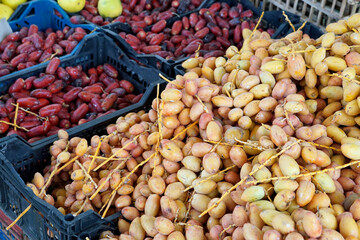 ripe dates at bedouine market in El Quseir