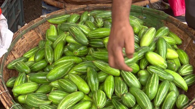 Fresh pointed gourds displayed for sale in a rural market