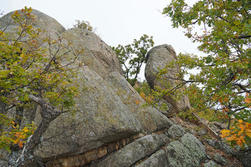 Mountain landscape panorama rocks stones trees forest Balkans autumn cloudy day nature