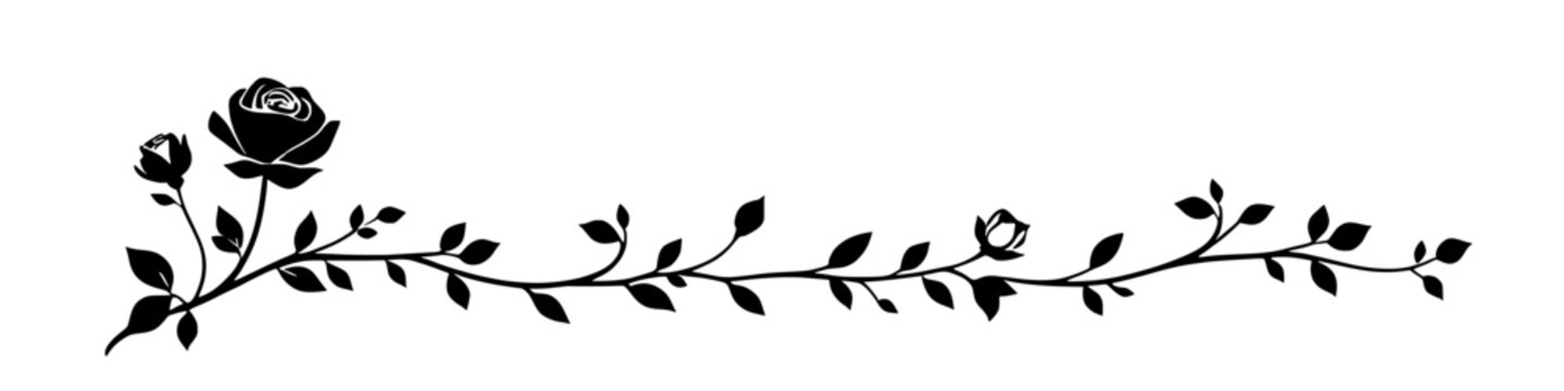 elegant burgundy rose vine on white background, floral design element