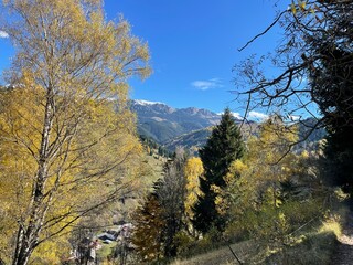 Autumn mountain landscape in Romania with golden trees, evergreen forest, and snow-capped peaks under a clear blue sky. A peaceful countryside view of nature's seasonal beauty and tranquility.
