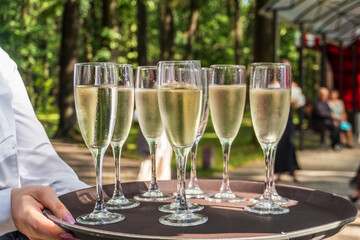 Champagne Glasses on Tray in Park Setting