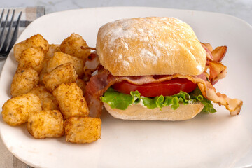 blt sandwich  served with tater tots