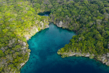 Obraz premium A tiny marine lake lies near a lagoon in the remote, tropical island of Pulau Terbang in the Banda Sea, Indonesia. These unusual habitats add to the area's marine biodiversity.