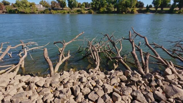 Riverbank Erosion Control Using Branches and Riprap on the Sacramento River Levee