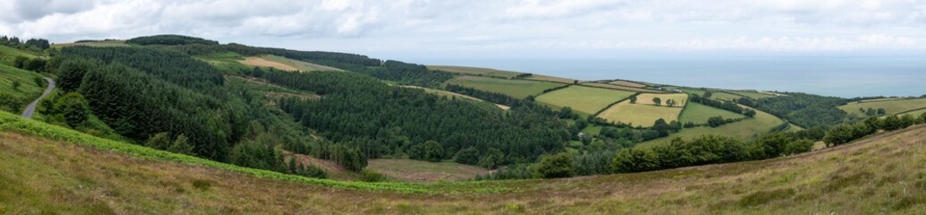 Landscape photo of Porlock Common in Exmoor National Park