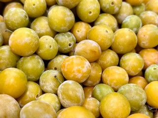gros plan sur des prunnes jaune chez un producteur bio