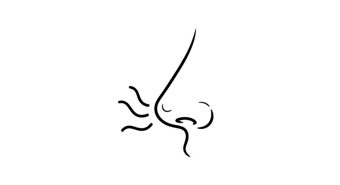 Hand-drawn minimalist vector icon of a nose with scent waves, representing smell, aroma, fragrance, and olfactory perception, perfect for health, beauty, and sensory-related concepts, isolated on a