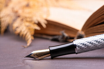 Fountain pen, beautiful fountain pen in detail on leather surface, selective focus.