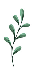 Plant leaves stem Christmas symbol