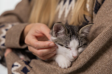 Domestic cat resting peacefully in the arms of a person wearing a cozy sweater, showcasing a warm and affectionate bond between human and pet in a serene indoor setting