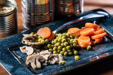 Servings of canned vegetables on a plate as a concept for National Canned Food Day.