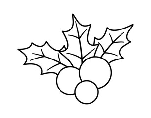 Black-and-white Christmas berry holly mistletoe