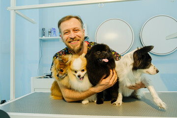 The poses of three Pomeranians, one Border Collie breed dog, and the pet groomer who performed...