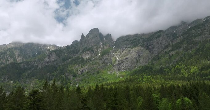 Aerial View of Rila Forest, Bulgaria