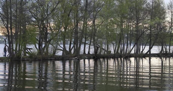 Two figures walk slowly along a narrow line of trees by the lake at twilight. Soft ripples mirror their movement and the branches. Quiet companionship, distance, and an unresolved story.