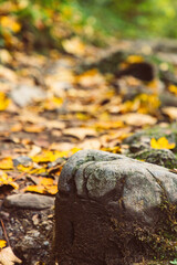 Wanderung durch die B&uuml;rser Schlucht, Wandern in &Ouml;sterreich, Vorarlberg im Herbst. 