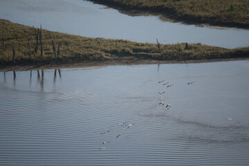 River from Lookout with Fog and Cloud