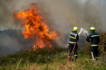 Wildfires fire burning with a lot of smoke, firefighters