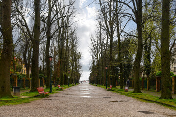 Tree-lined avenue Viale Giuseppe Garibaldi at the Biennale Gardens, also called Napoleonic Gardens, in the Castello district, empty during a spring storm