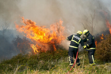 Wildfires fire burning with a lot of smoke, firefighters