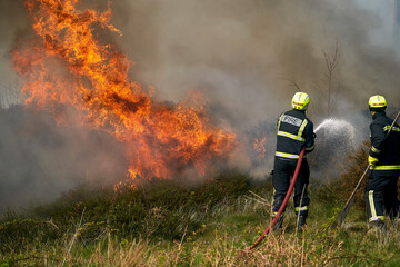 Wildfires fire burning with a lot of smoke, firefighters